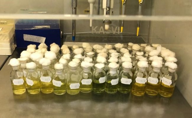 fixacao-biologica-nitrogenio-algodao