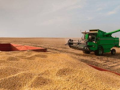 Soja - Foto: Divulgação