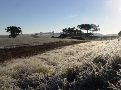 Geada - Crédito Marco Antônio