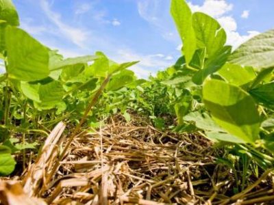 gkojfoumuot-Telefone