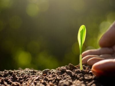 Gotejamento - Crédito: Shutterstock