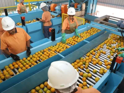 Ari Dias/Governo do Paraná