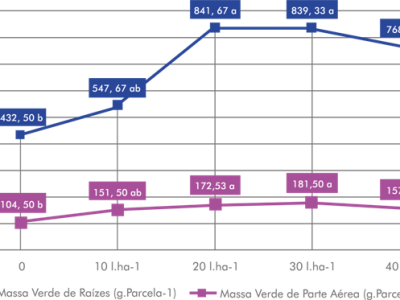 grafico para visualizar