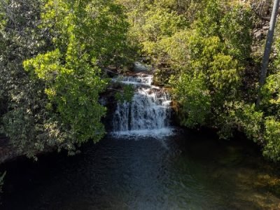 Esforço conjunto do Governo de Goiás e mais de 400 produtores rurais garante preservação do bioma cerrado - Foto: Secom
