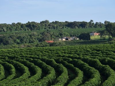 hd-wallpaper-g00c372ccc_640