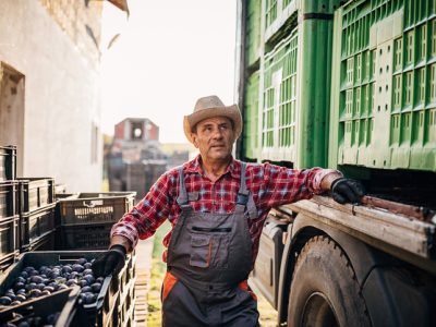 Portrait of an older farmer