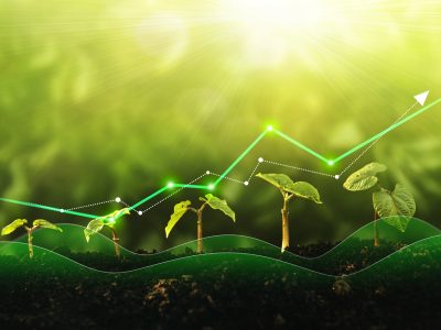 Seedling are growing from the rich soil. Concept of business growth, profit, development and success