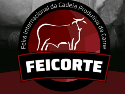 Feicorte