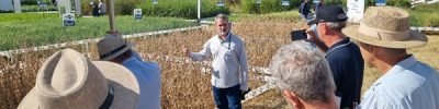 Pesquisadores da Embrapa apresentam novas cultivares de soja e maracujá durante a AgroBrasília 2026, com foco em produtividade e resistência a doenças.