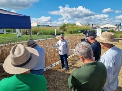 Pesquisadores da Embrapa apresentam novas cultivares de soja e maracujá durante a AgroBrasília 2026, com foco em produtividade e resistência a doenças.
