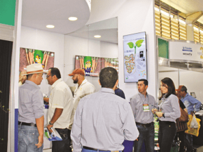 imagem_2022-06-08_152310957