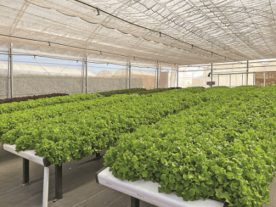 imagem_2022-06-08_162844152