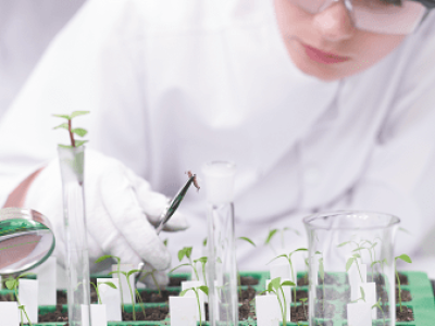 imagem_2022-06-13_094728643