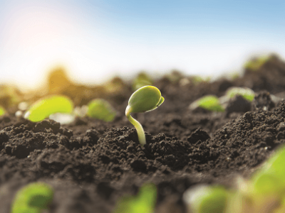 imagem_2022-06-13_095202437