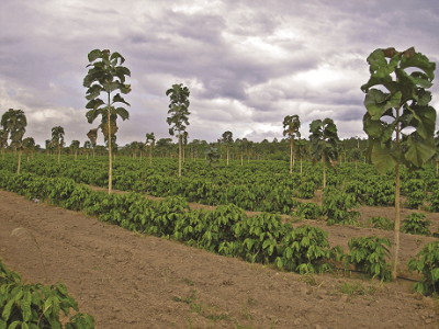 imagem_2022-06-13_110038275