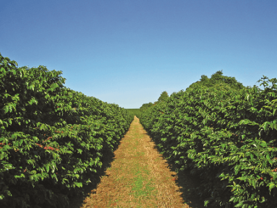 imagem_2022-06-13_110412167