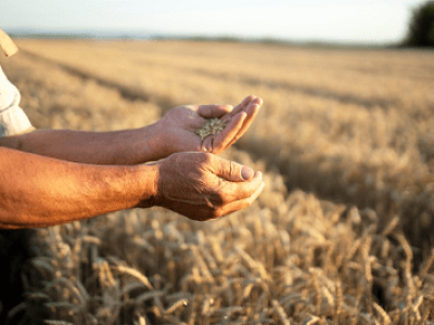 imagem_2022-06-13_114635991