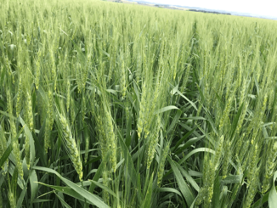 imagem_2022-06-14_083002824