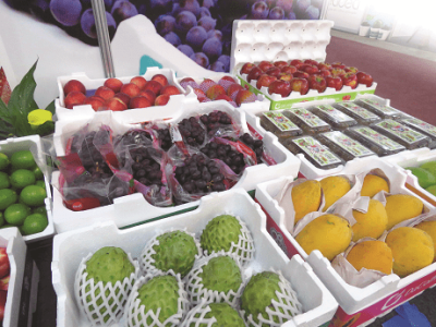 imagem_2022-06-14_091801691