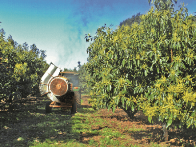 imagem_2022-06-14_103612818