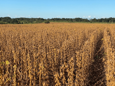 imagem_2022-06-15_132017870