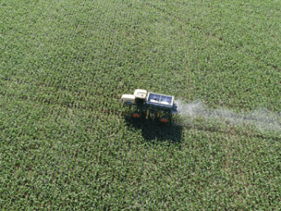 imagem_2022-06-15_132710794