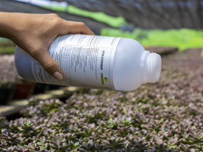 imagem_2022-06-15_140147572