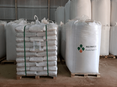 imagem_2022-06-15_142728163