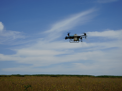 imagem_2022-06-17_163729091