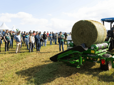 imagem_2022-06-17_164352720