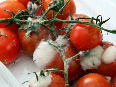 imagem_2022-06-27_121351571