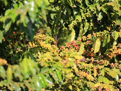 imagem_2022-06-27_121932605