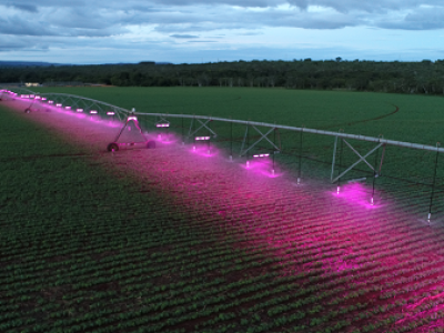 imagem_2022-06-28_090219640