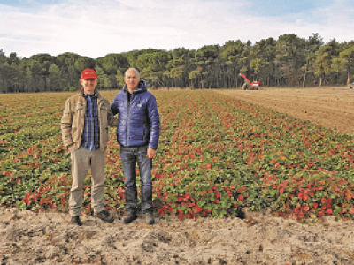 imagem_2022-06-28_103138526