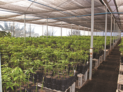 imagem_2022-06-28_104145113