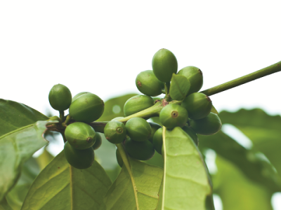 imagem_2022-06-28_104846115