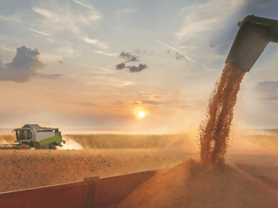 imagem_2022-06-28_113607940