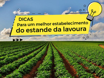 imagem_2022-06-28_115505826