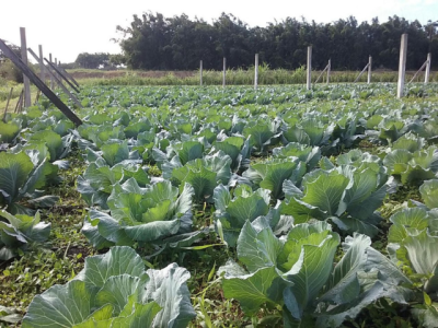 imagem_2022-06-28_120916556