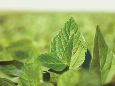 imagem_2022-06-29_135126968