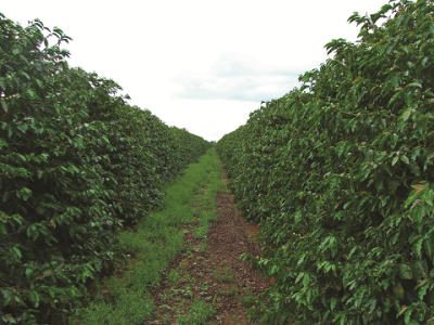 imagem_2022-06-29_140253967