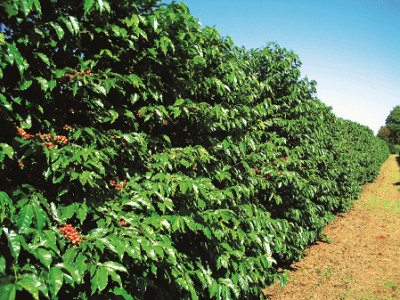 imagem_2022-06-29_144006183