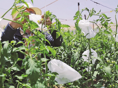 imagem_2022-06-29_150216367