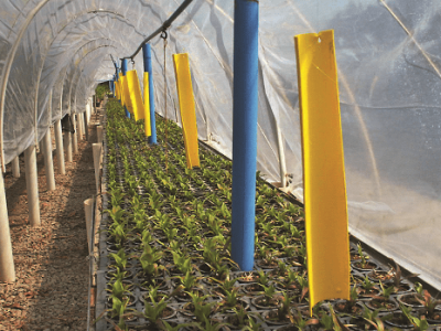 imagem_2022-06-29_162430264