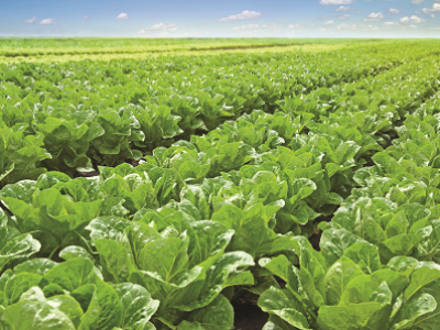 imagem_2022-06-29_171335924