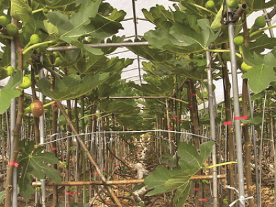 imagem_2022-06-30_141614884