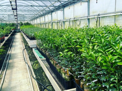 imagem_2022-07-19_095818720