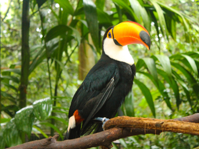 imagem_2022-07-19_112335312