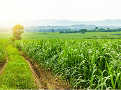 imagem_2022-07-20_175002137