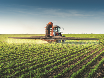 imagem_2022-07-28_134732713